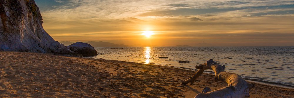 Leo Tsementzis banner