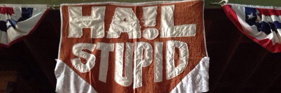 ststupid's profile banner image
