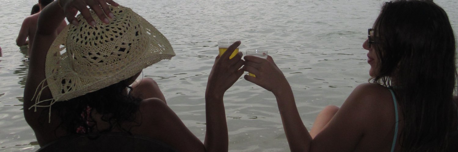 vlsbea's profile banner image