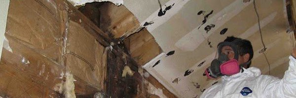 TheCleanUpGuys Profile Banner