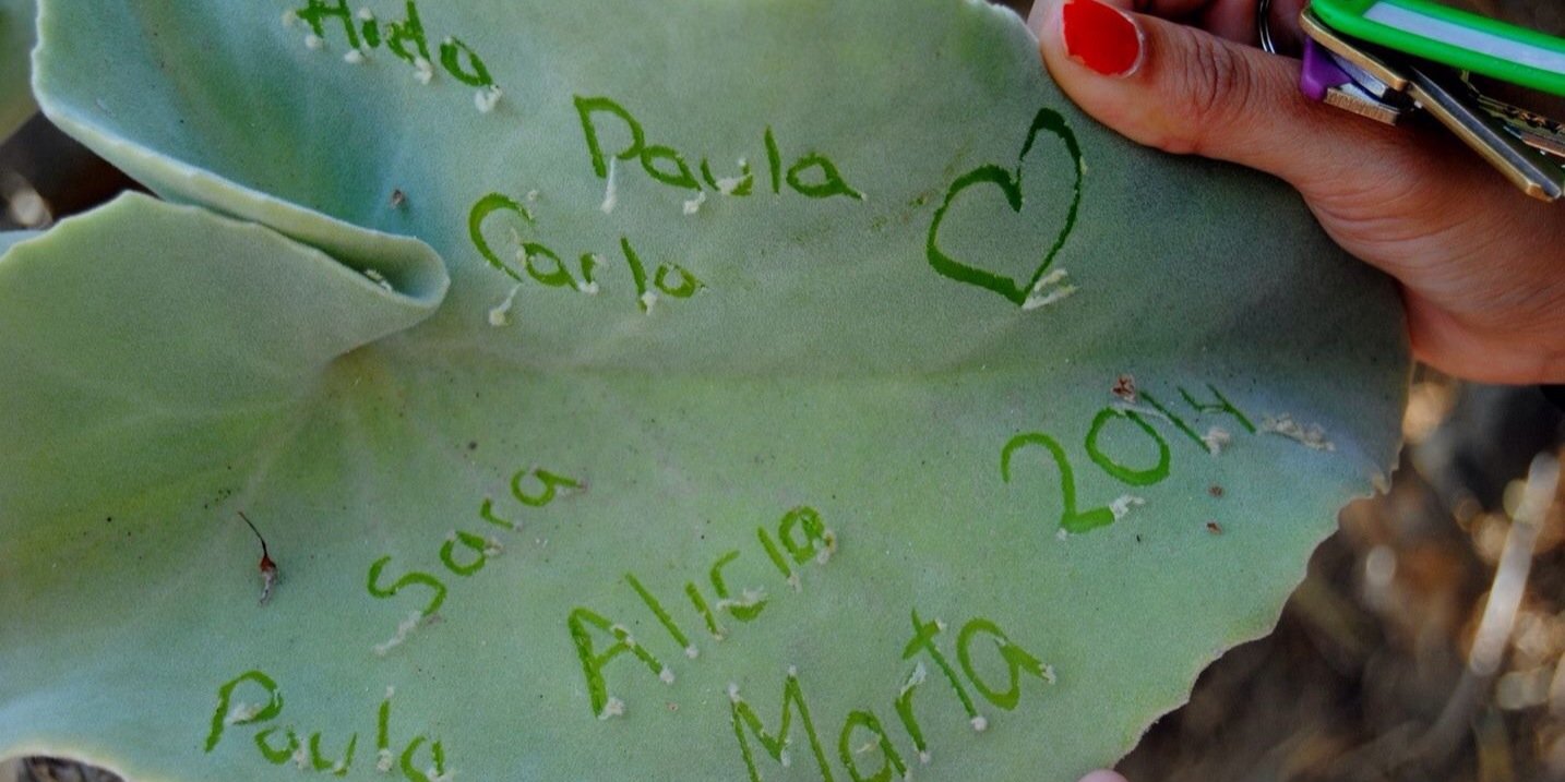 Marta banner