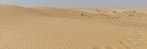 fabrah44 Profile Banner