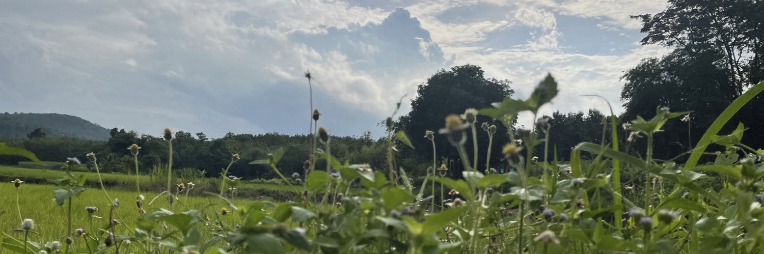 Poohplat's profile banner image