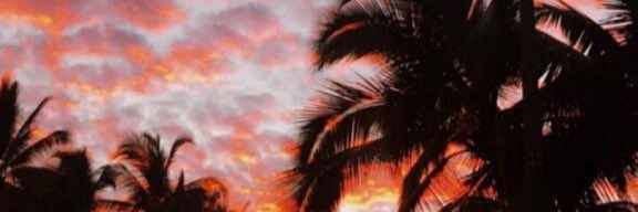 angelesnva's profile banner image