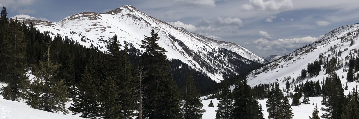 BethBadgett's profile banner image