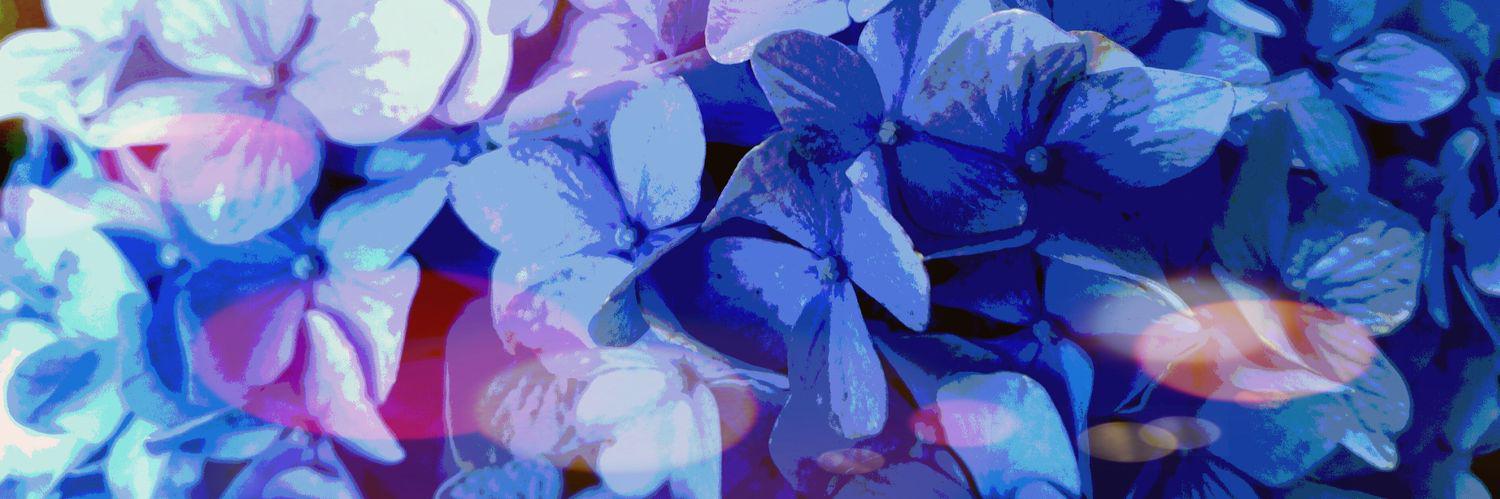 bunnypfour's profile banner image
