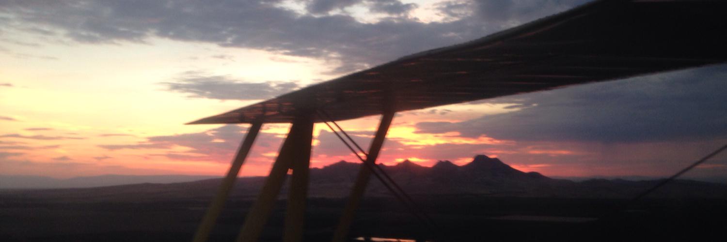 flymatilda's profile banner image