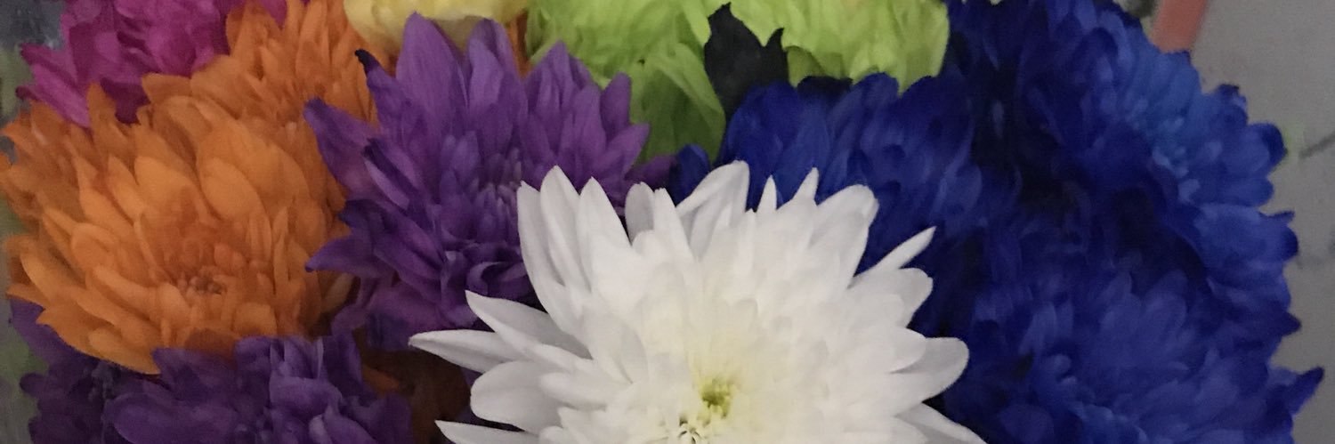 AlexaRulkova's profile banner image