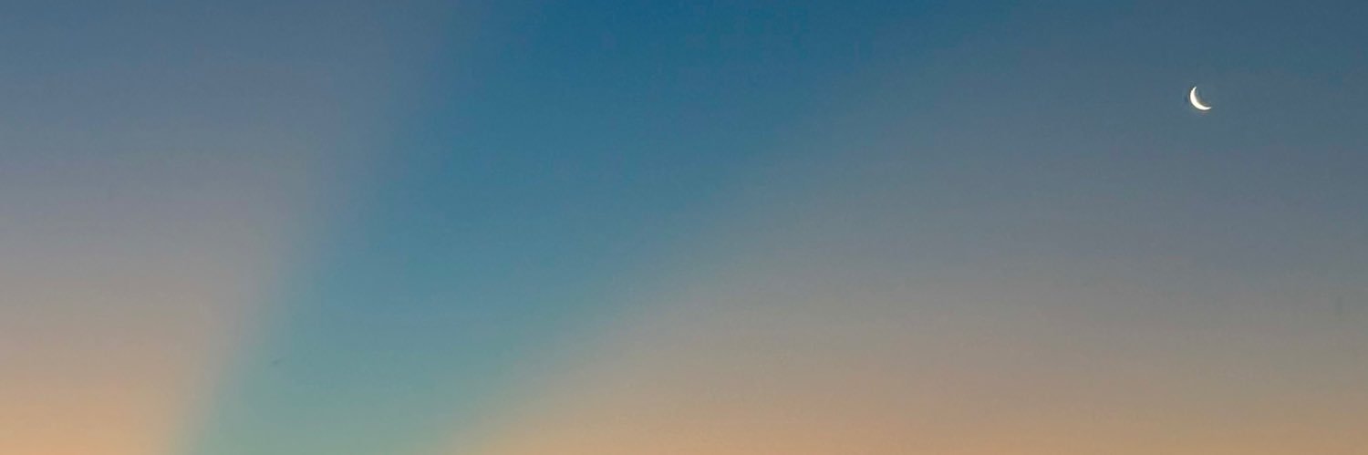 MilaCaringe's profile banner image