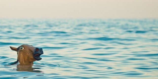 MVHS Girls Swimming&Diving banner