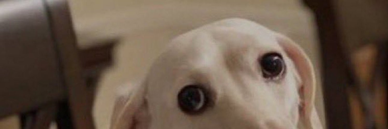 BransenDias's profile banner image