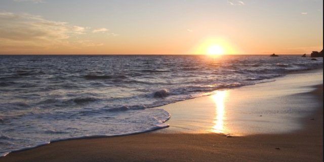Trichmond_1's profile banner image