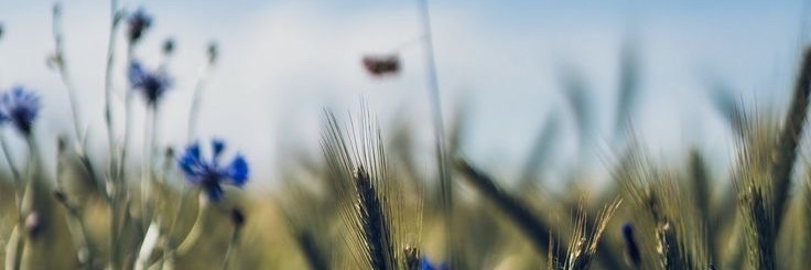 Jayelbride's profile banner image
