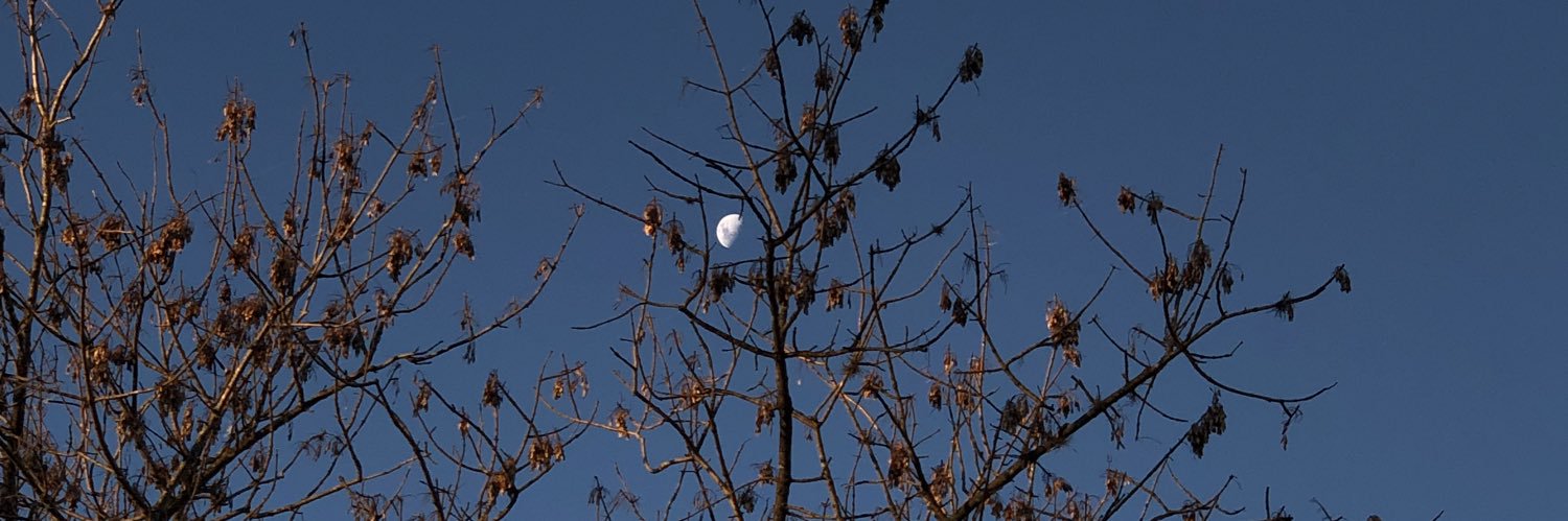 escos_tomi's profile banner image