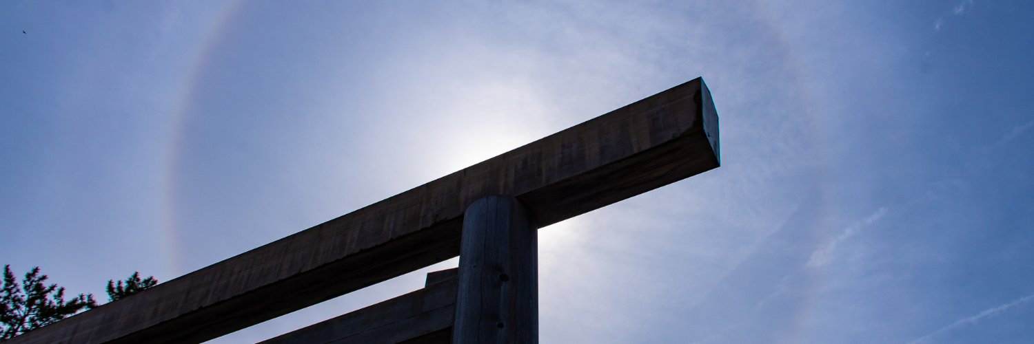 masako0611's profile banner image