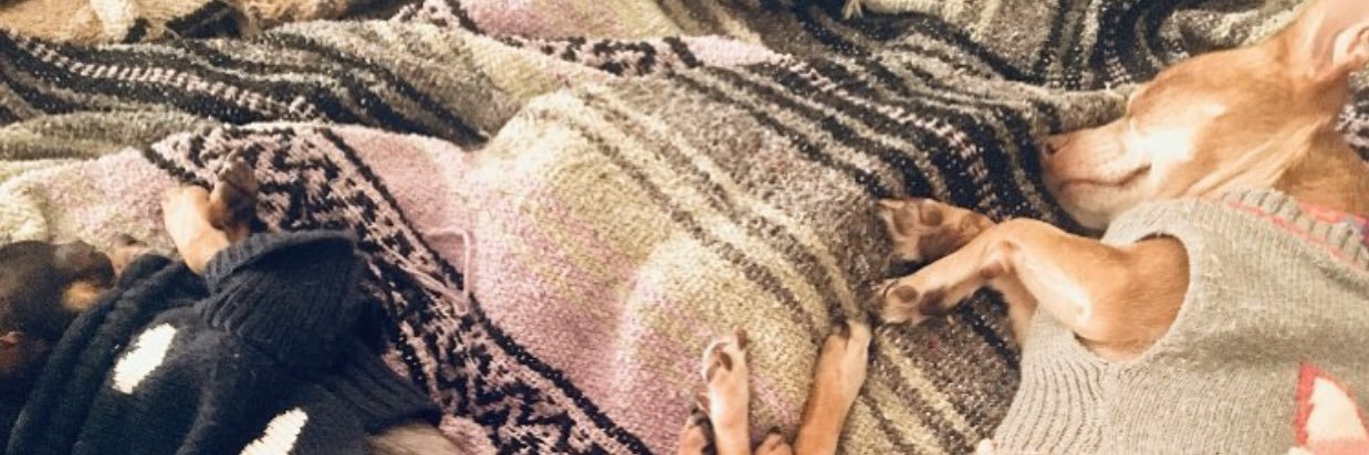 Yogababe69's profile banner image