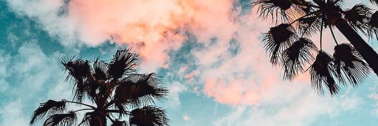 mcmimi9's profile banner image