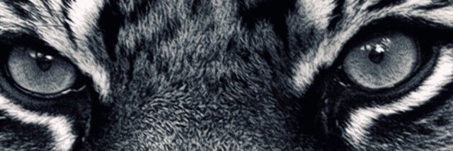 jake5687's profile banner image