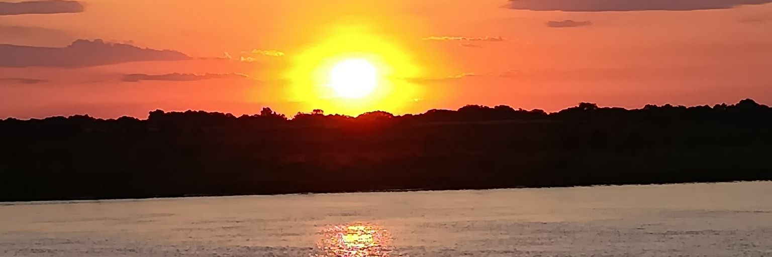 ninirecalde_'s profile banner image