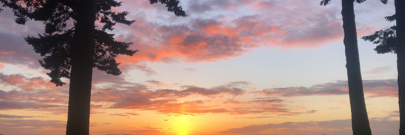 CrabtreeKyara's profile banner image