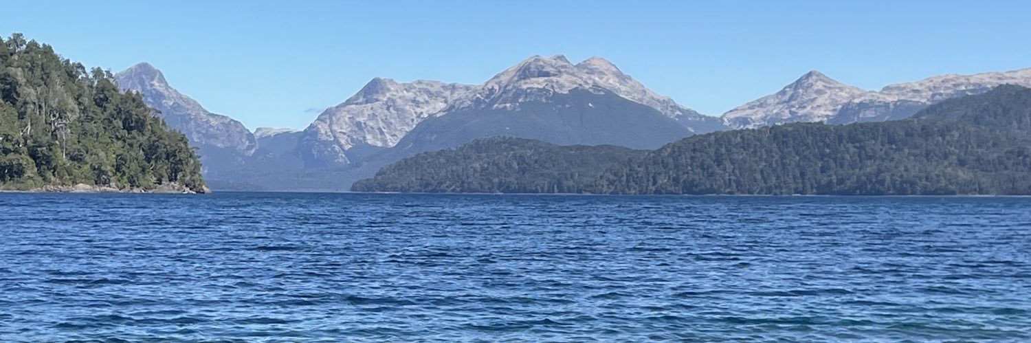 lauraferrandi's profile banner image