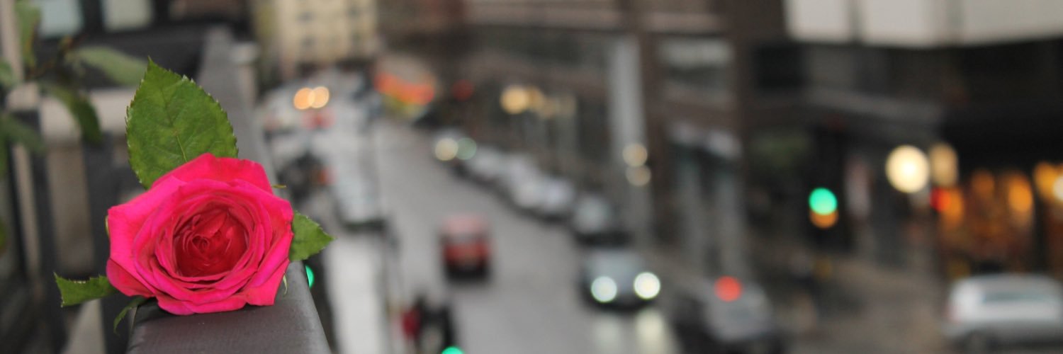 mooounii's profile banner image