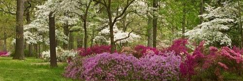 BethPurl's profile banner image