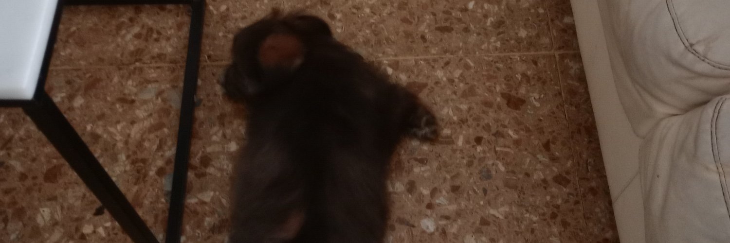 MaCeci74's profile banner image
