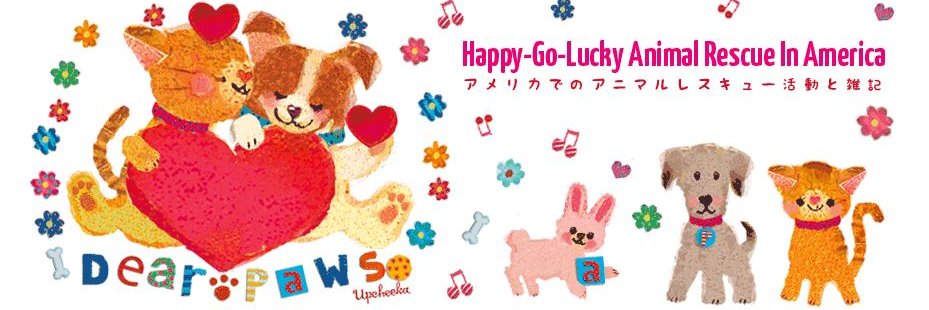 dearpaws's profile banner image