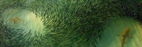 Merche☯🏁 banner