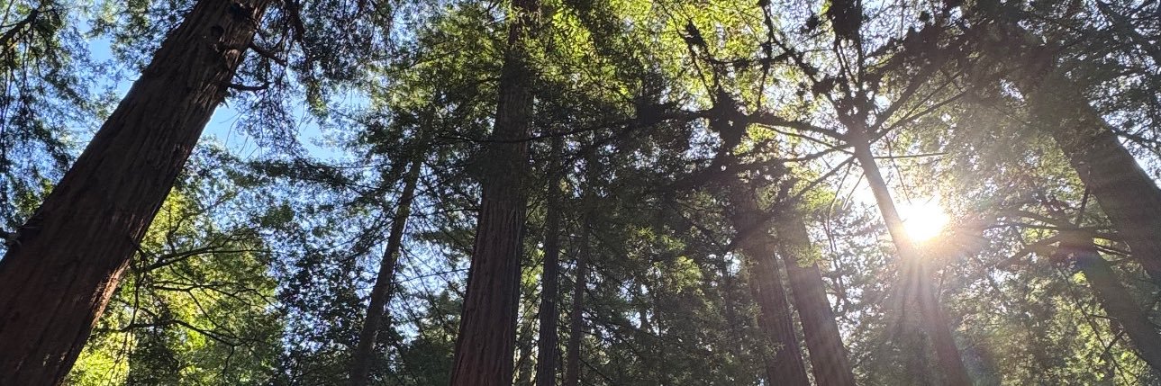 breezyjane_'s profile banner image