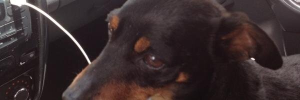 Tomás Durán banner