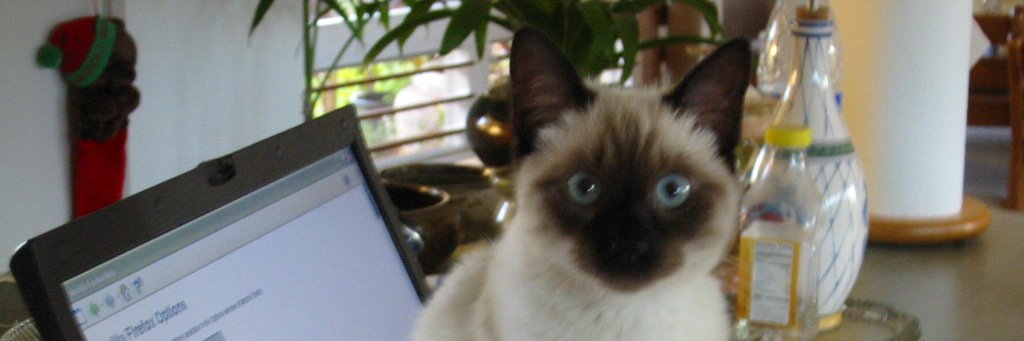 ⚡⚡JoeNazzz⚡⚡ banner