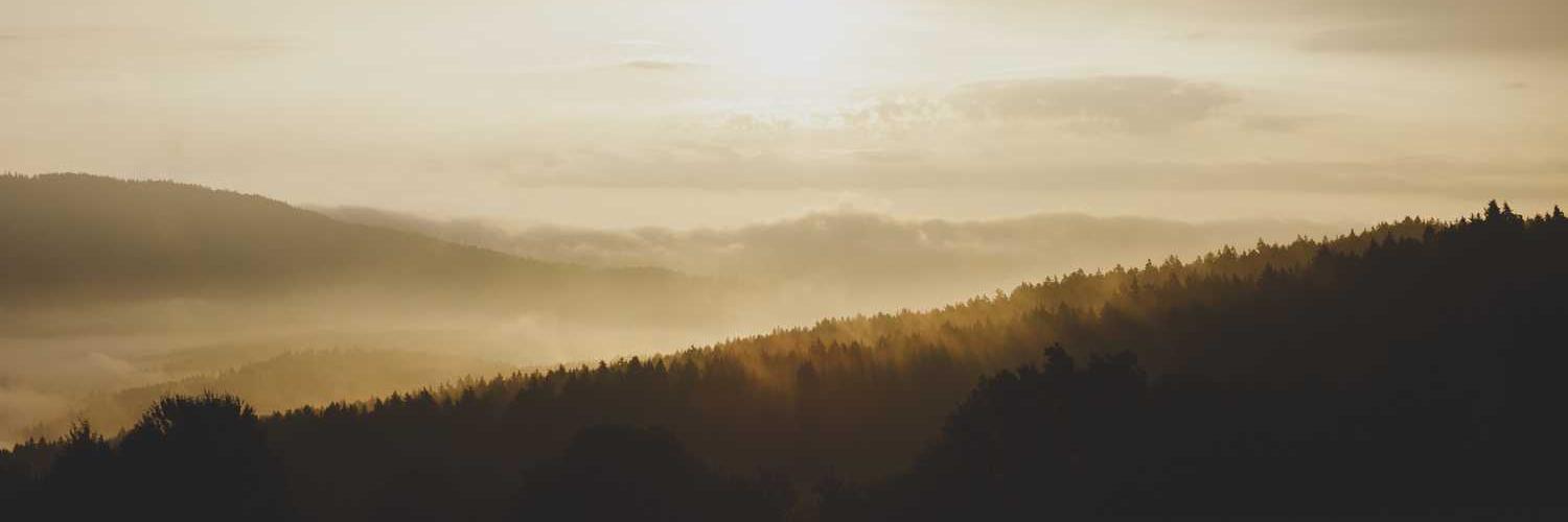 nina_delemos's profile banner image
