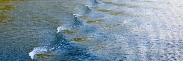 505crush Profile Banner