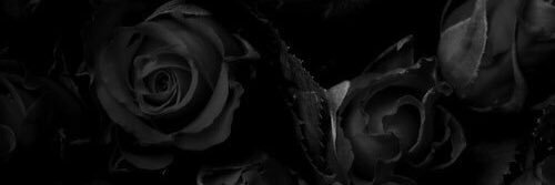 Dc_Dro's profile banner image