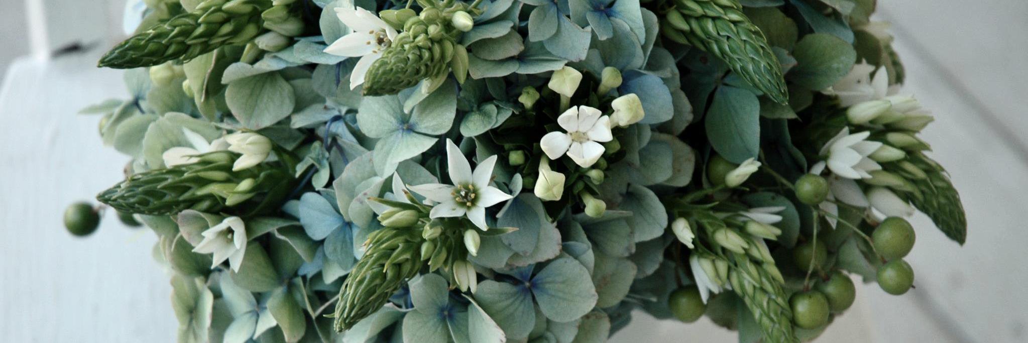 BotanicalBrouhaha banner