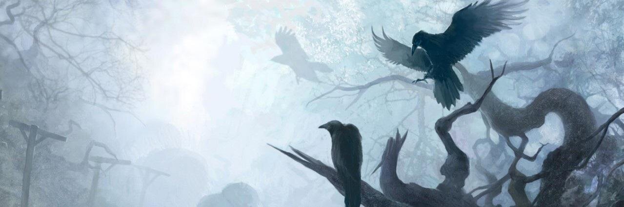 dkpsycho_'s profile banner image