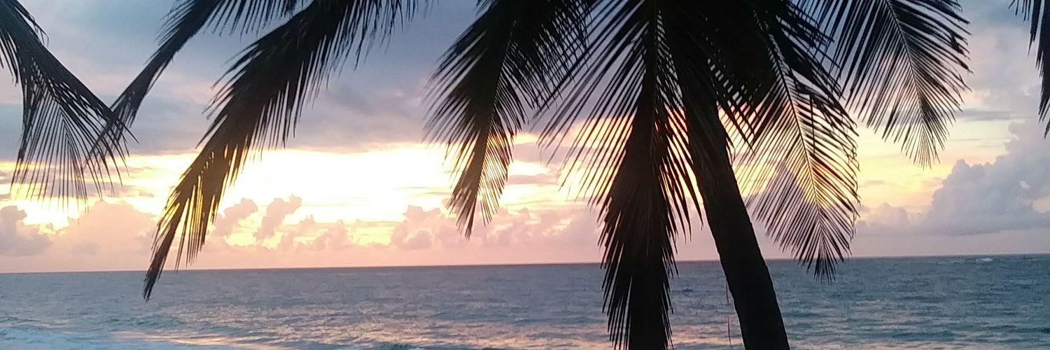 MsDecorLife's profile banner image
