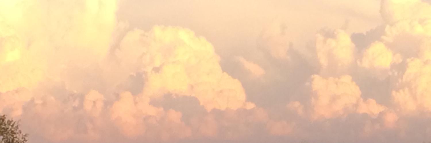chiprudge's profile banner image