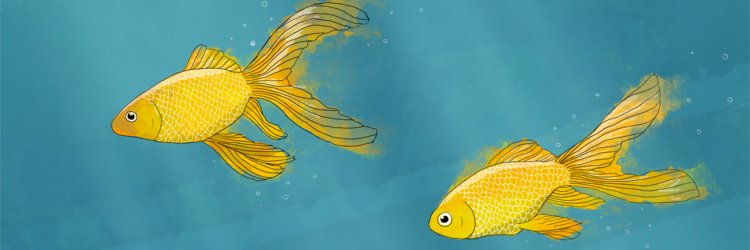 inmeyko's profile banner image