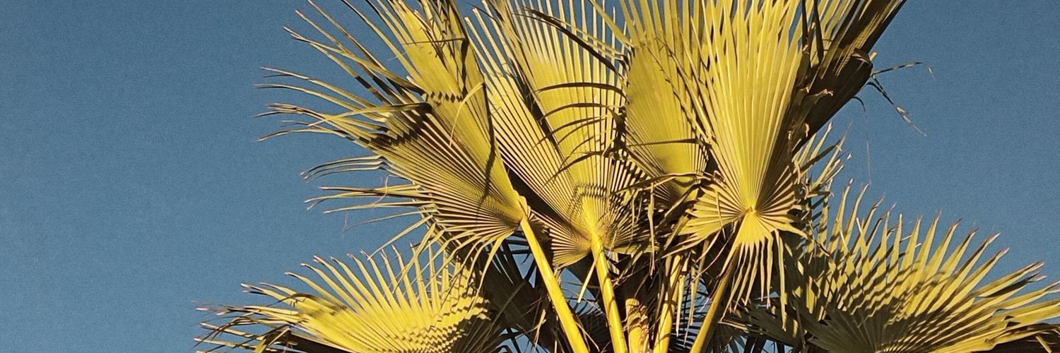 bertofoever's profile banner image