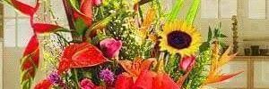 bismila's profile banner image