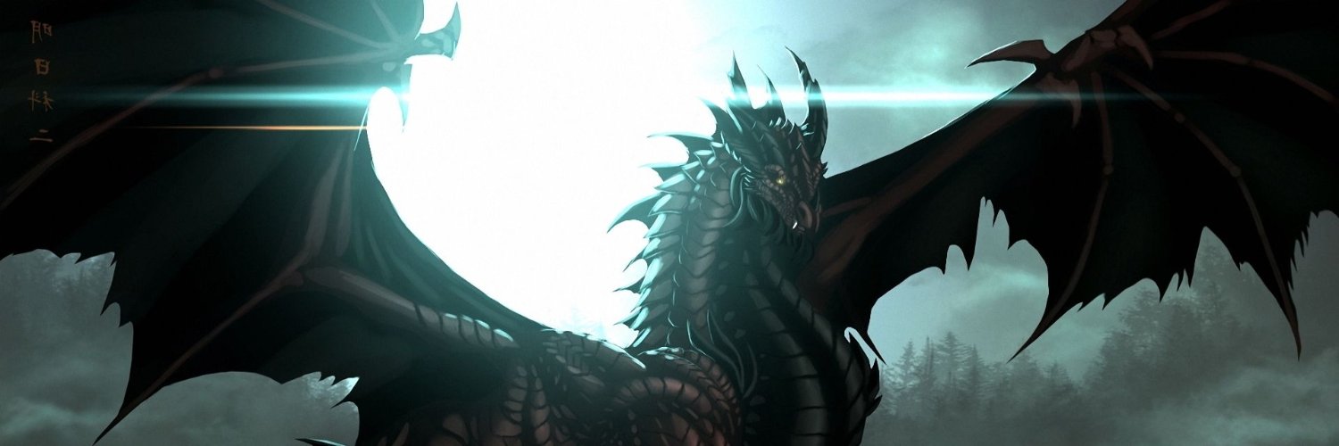 DRAGONSRAVE's profile banner image