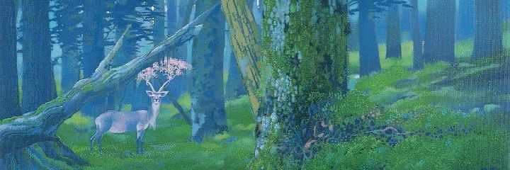Luísa Muccillo banner