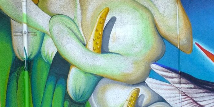 bergican's profile banner image