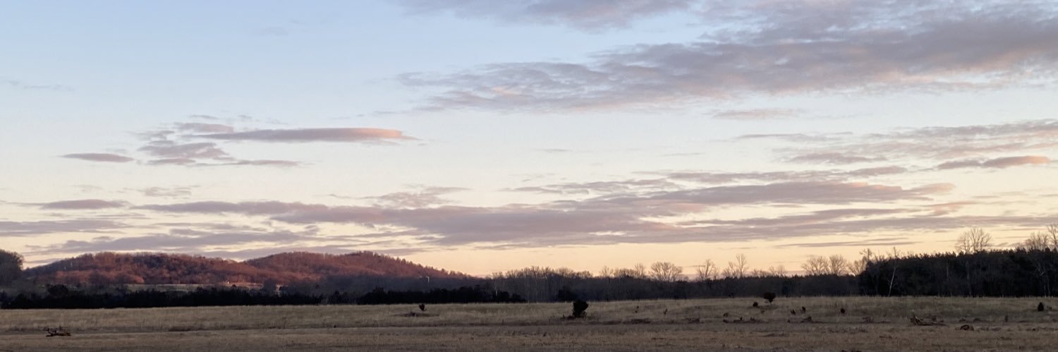 Torie Knighton banner