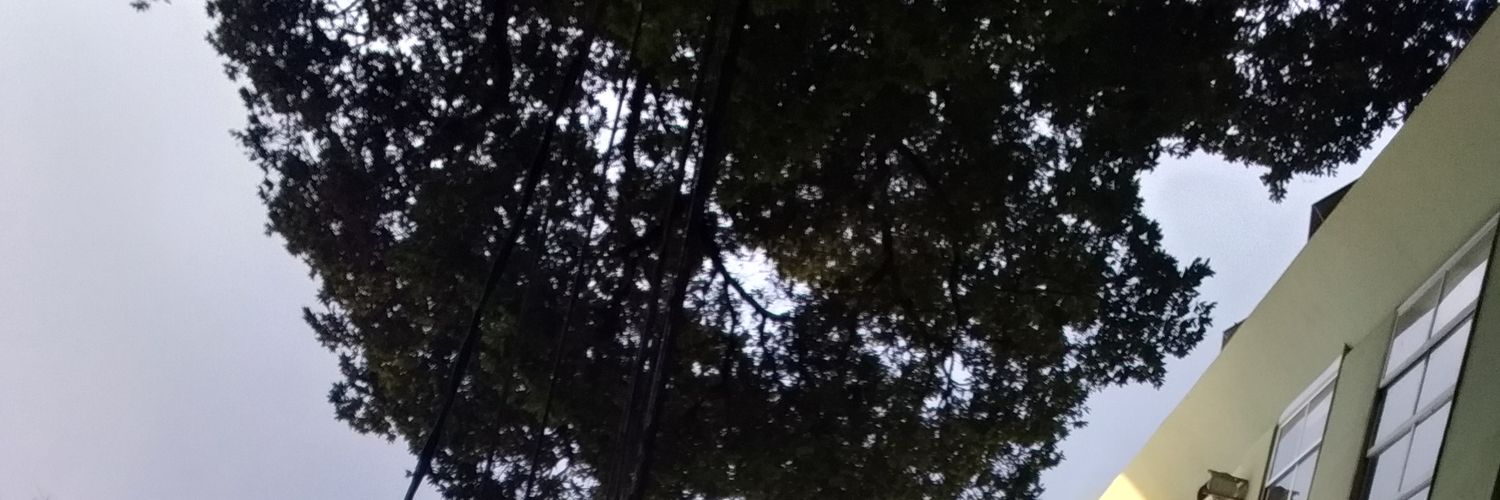 Feernandacods's profile banner image