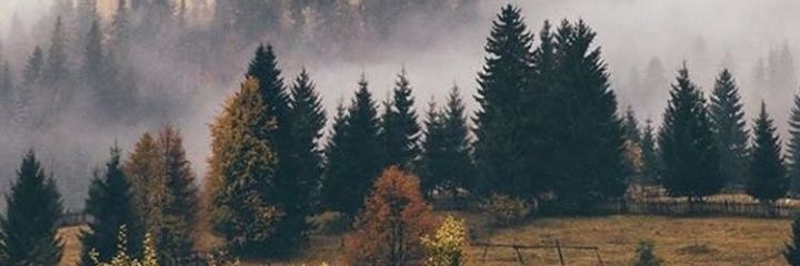 Michael Topping banner