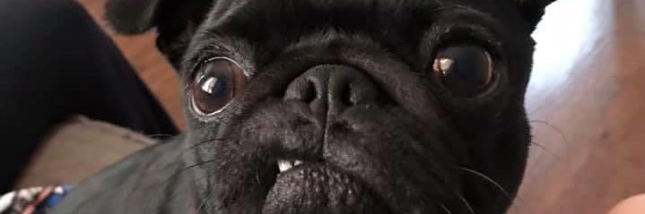 Sarah_Beth22's profile banner image